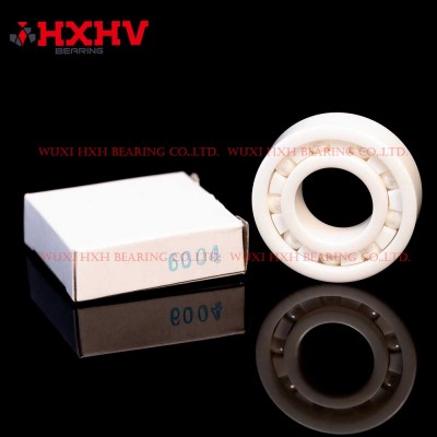HXHV full ceramic ball bearings 6004 with 9 ZrO2 balls and PTFE retainer