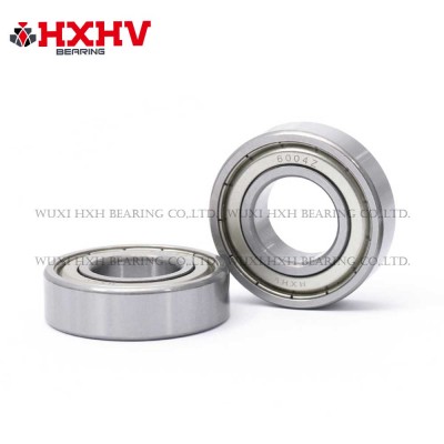 6004-zz 尺寸 20x42x12 mm - HXHV 深沟球轴承