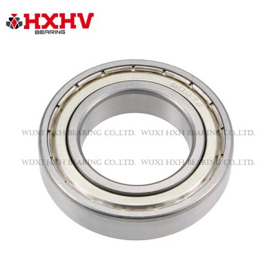 6007zz 尺寸 35x62x14 mm - HXHV 深沟球轴承