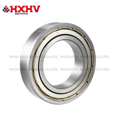 6007zz 尺寸 35x62x14 mm - HXHV 深沟球轴承