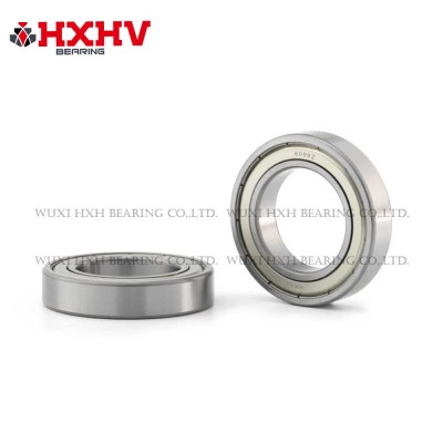 6009-2RS，尺寸 45x75x16 mm - HXHV 深沟球轴承
