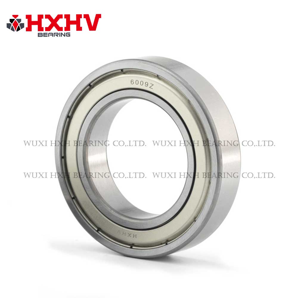 6009-2RS with size 45x75x16 mm- HXHV Deep Groove Ball Bearing (2)