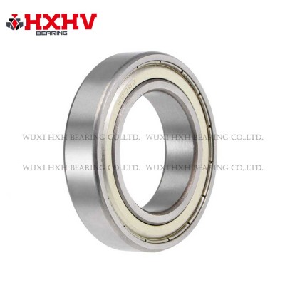 6009-2RS，尺寸 45x75x16 mm - HXHV 深沟球轴承