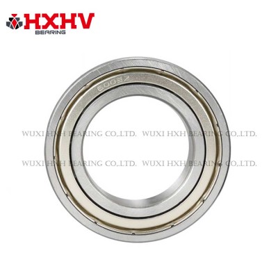 6009-2RS，尺寸 45x75x16 mm - HXHV 深沟球轴承