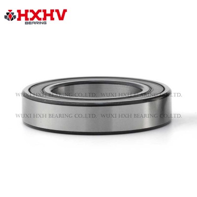 6009-2RS，尺寸 45x75x16 mm - HXHV 深沟球轴承