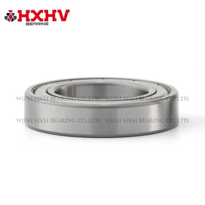 6009-2RS，尺寸 45x75x16 mm - HXHV 深沟球轴承