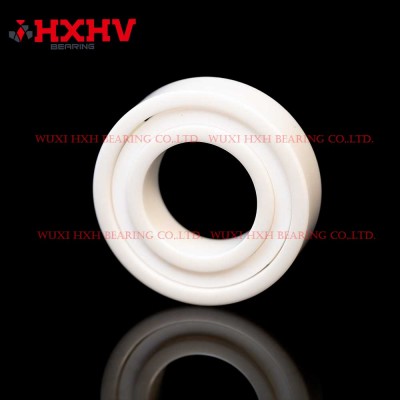 HXHV full ceramic ball bearings 6005 with 10 ZrO2 balls and PTFE retainer