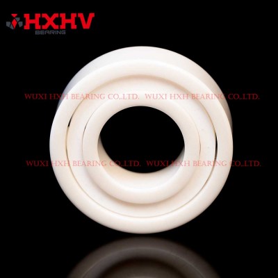 HXHV 全陶瓷球轴承 6004，带 9 个 ZrO2 球和 PTFE 保持架