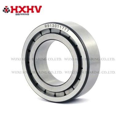 R913011777 HXHV Customized Cylindrical Roller Bearings