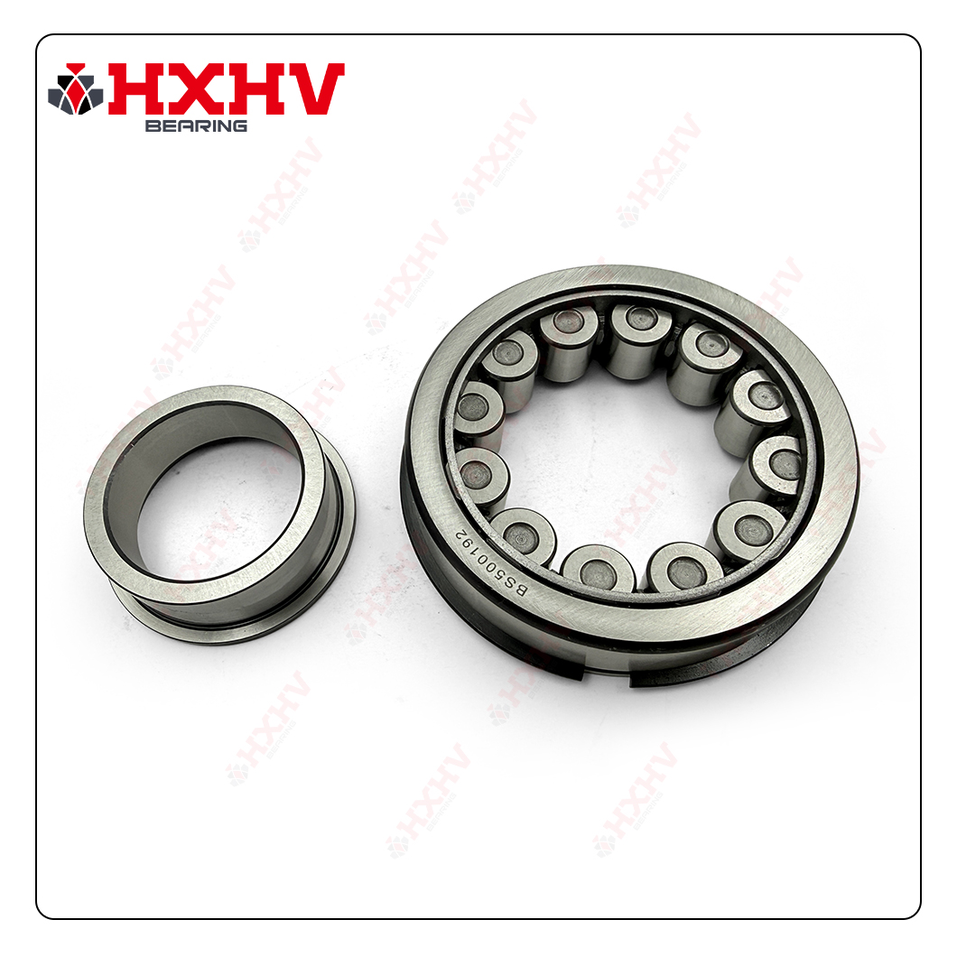 BS500192 HXHV Cylindrical Roller Bearing (5)