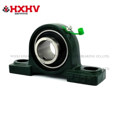 China Manufacturer for Ucp 206 – Pillow block bearing ucp206 – HXHV Bearings