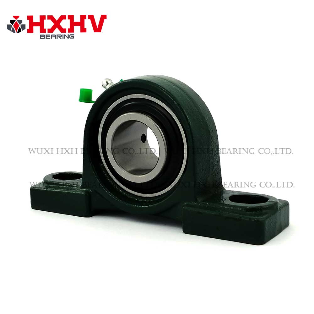 Erabiltzaileen ospea UCP 206 SKF - Burko blokea UCP 206 - HXHV errodamenduak xehetasunak