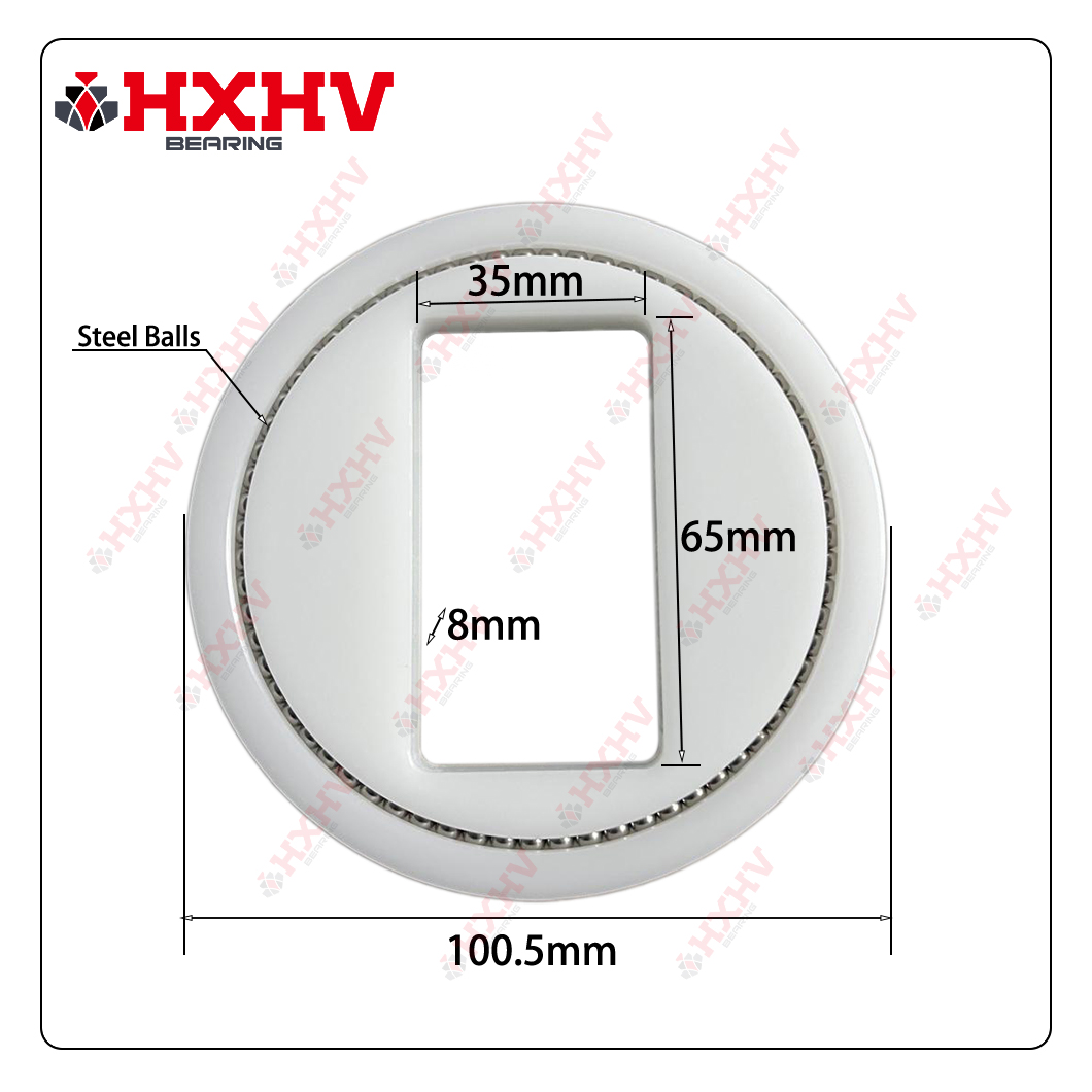 HXHV Dic Bearing with White Plastic Sheel and Steel Balls (2)