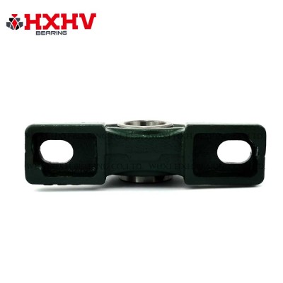 ການອອກແບບພິເສດສໍາລັບ Ucp 207 Bearing – Pillow block bearings – HXHV Bearings