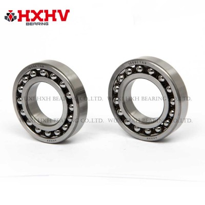HXHV Self Aligning Ball Bearing 1209 ETN9 with size 45x85x19 mm