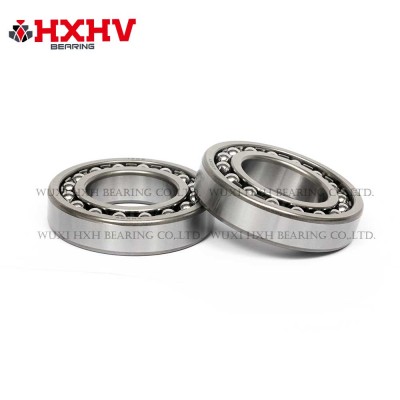 HXHV Self Aligning Ball Bearing 1209 with size 45x85x19 mm