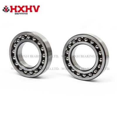 HXHV Self-aligning ball bearings 1210 ETN9 with black edge and nylon retainer