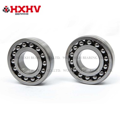 HXHV Self-aligning ball bearings 1309 ETN9 with nylon retainer