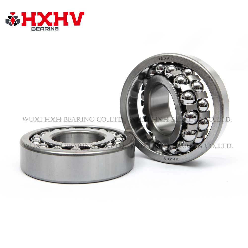 HXHV Self-aligning ball bearings 1309 with steel retainer (1)