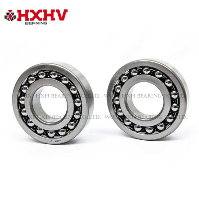 HXHV 带钢保持架的调心球轴承 1309