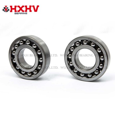 HXHV Self-aligning ball bearings 1310 ETN9 with nylon retainer