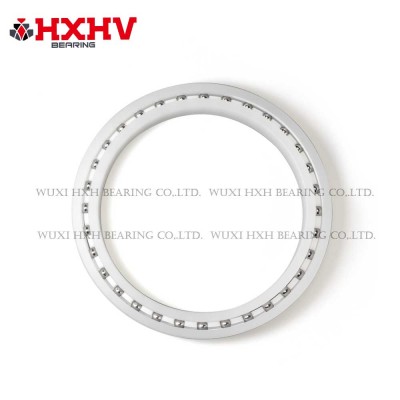 HXHV plastic bearing with steel balls