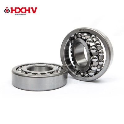 HXHV self-aligning ball bearing