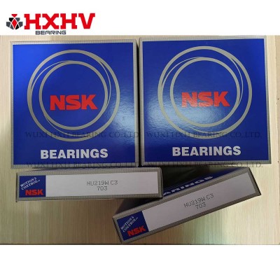 NSK Cylindrical Roller Bearings NU219W C3 703