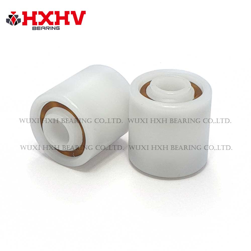 POM 8x22x22x24 double row plastic ball bearing (1)
